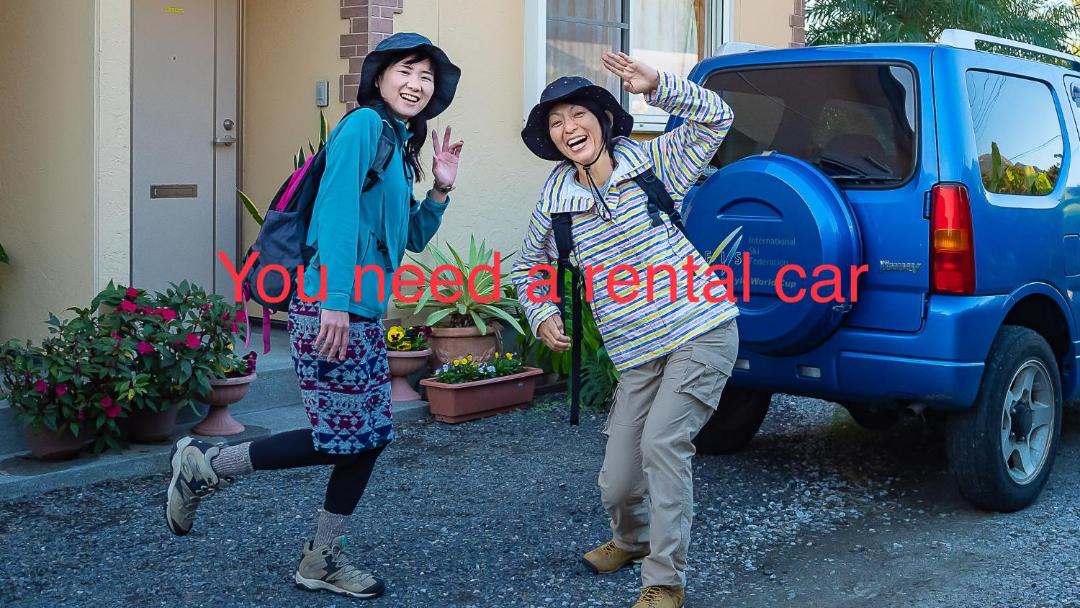 Photo of Others in Yakushima