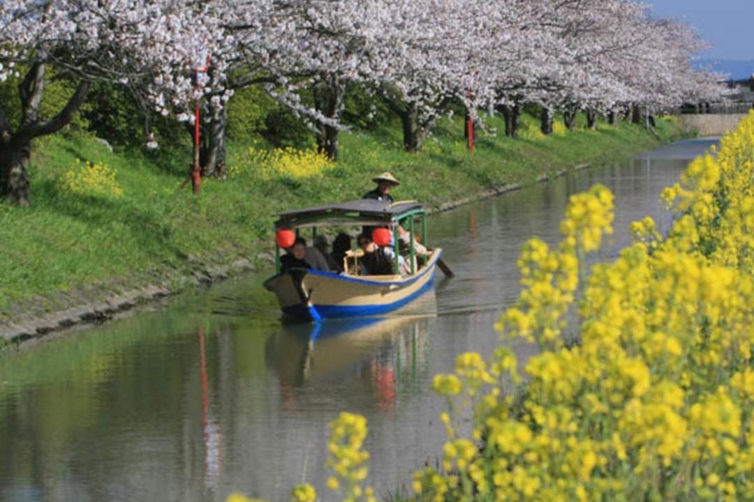 Photo of Others in Omihachiman