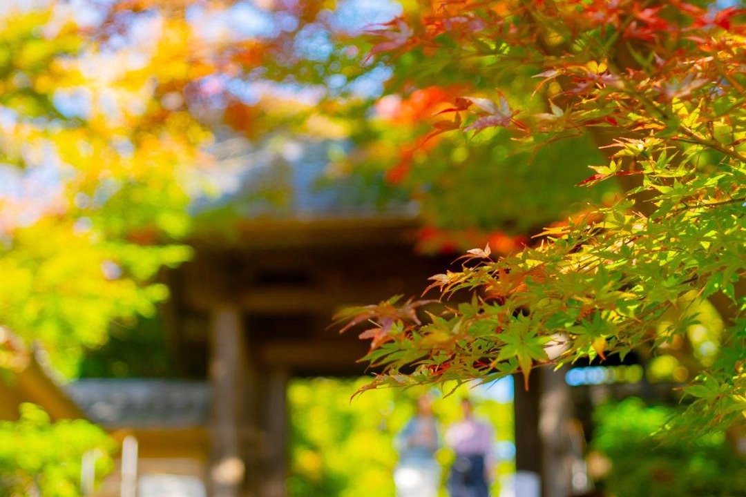 Photo of Others in Yamanouchi