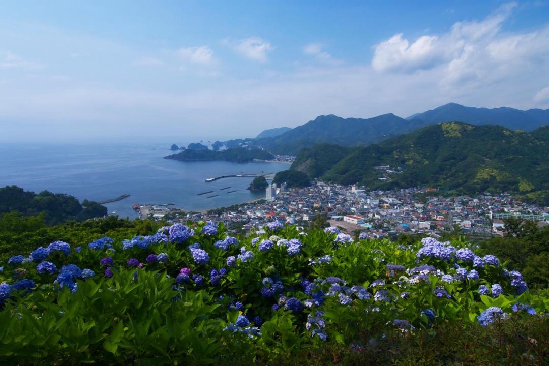 Photo of Others in Matsuzaki