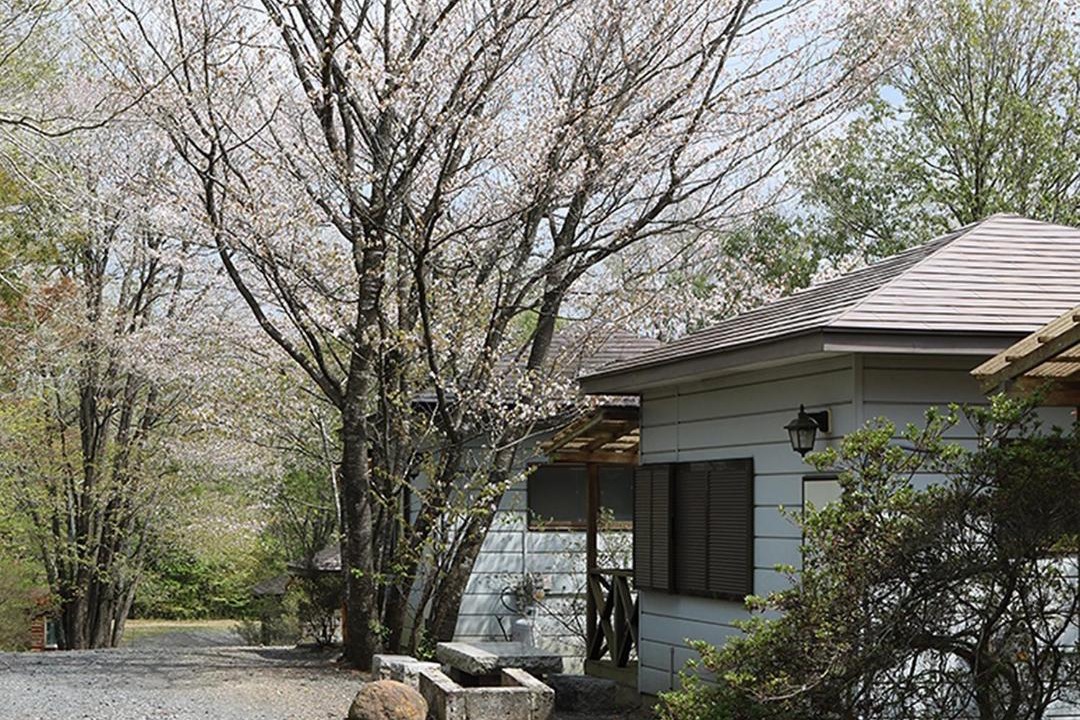 Photo of Buildings in Motegi