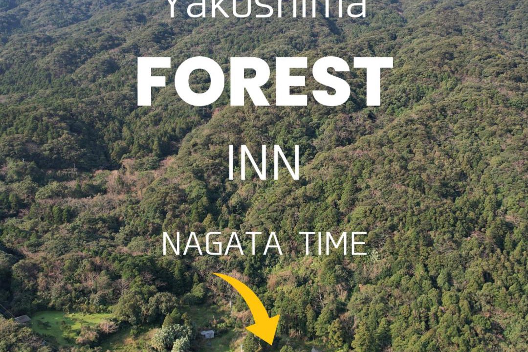Photo of Others in Yakushima