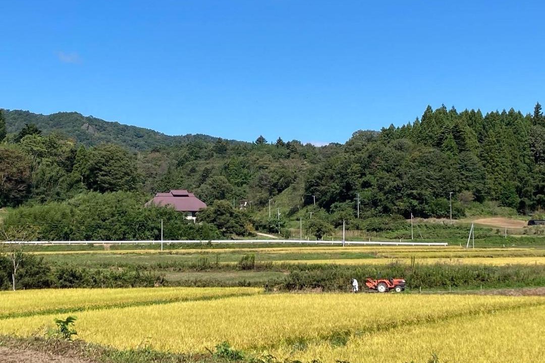 Photo of Others in Marumori