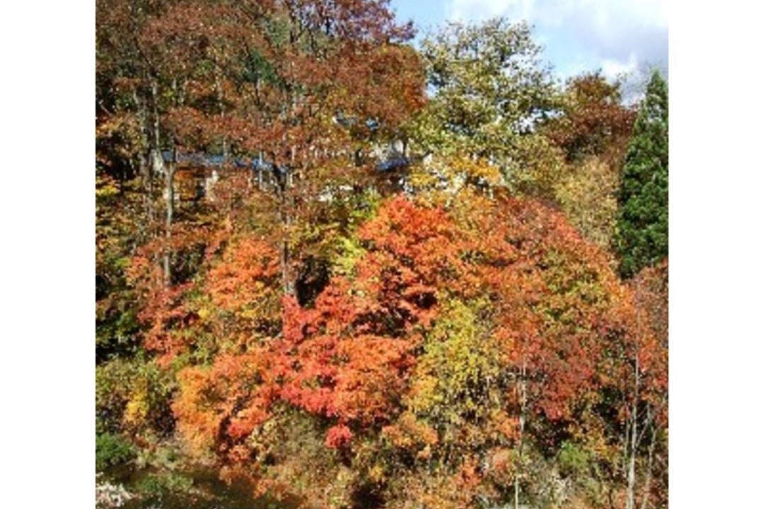Photo of Others in Shizukuishi