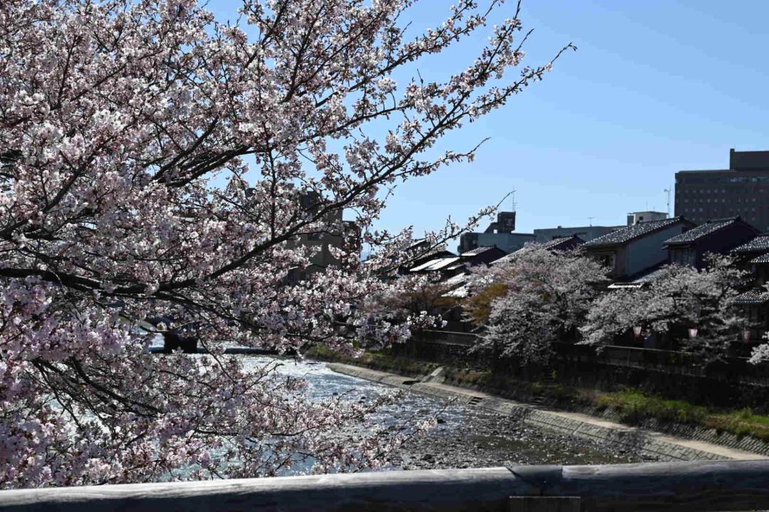 Photo of Others in Kanazawa