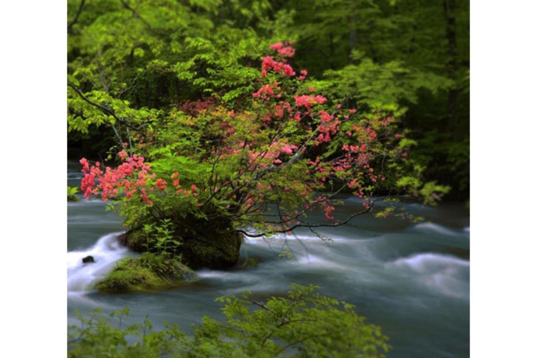 Photo of Others in Towada