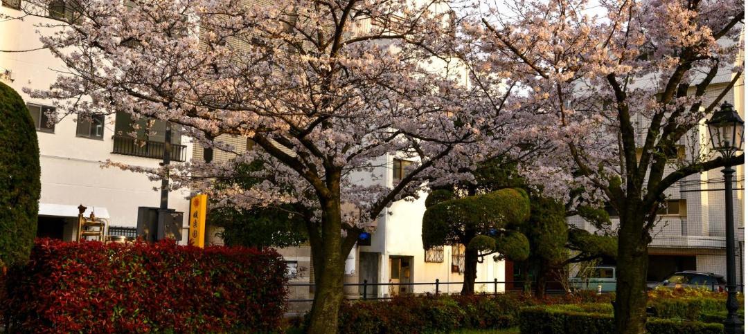 Photo of Others in Matsuyama