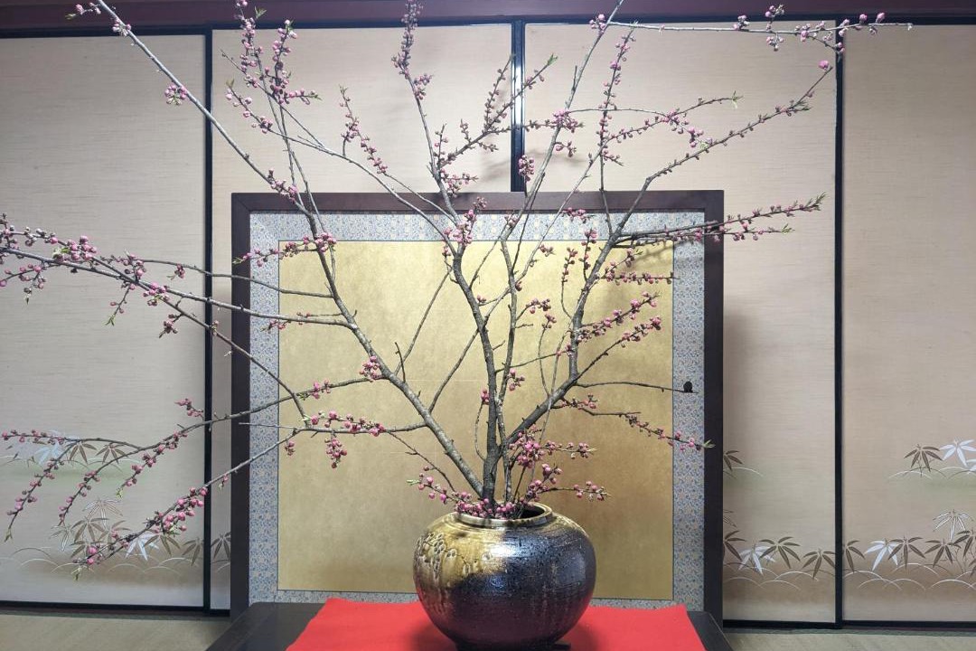Photo of Others in Imazu