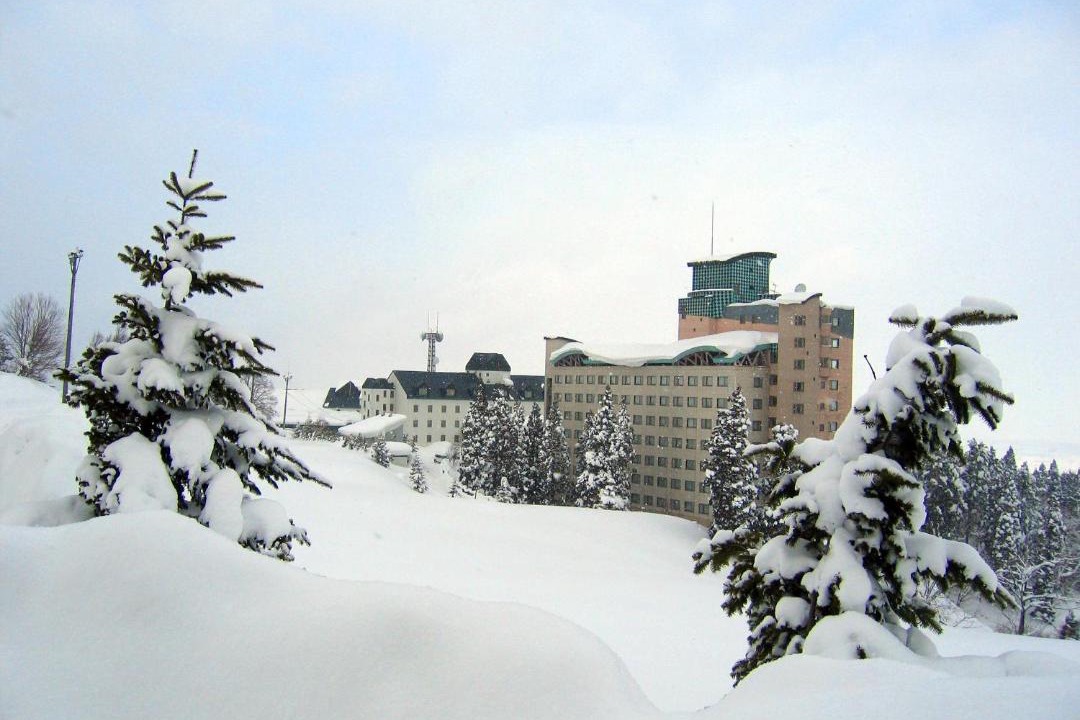 Photo of Others in Owani