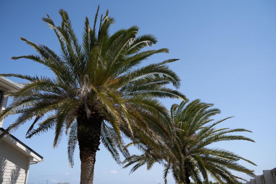 Photo of Outdoor in Ichinomiya