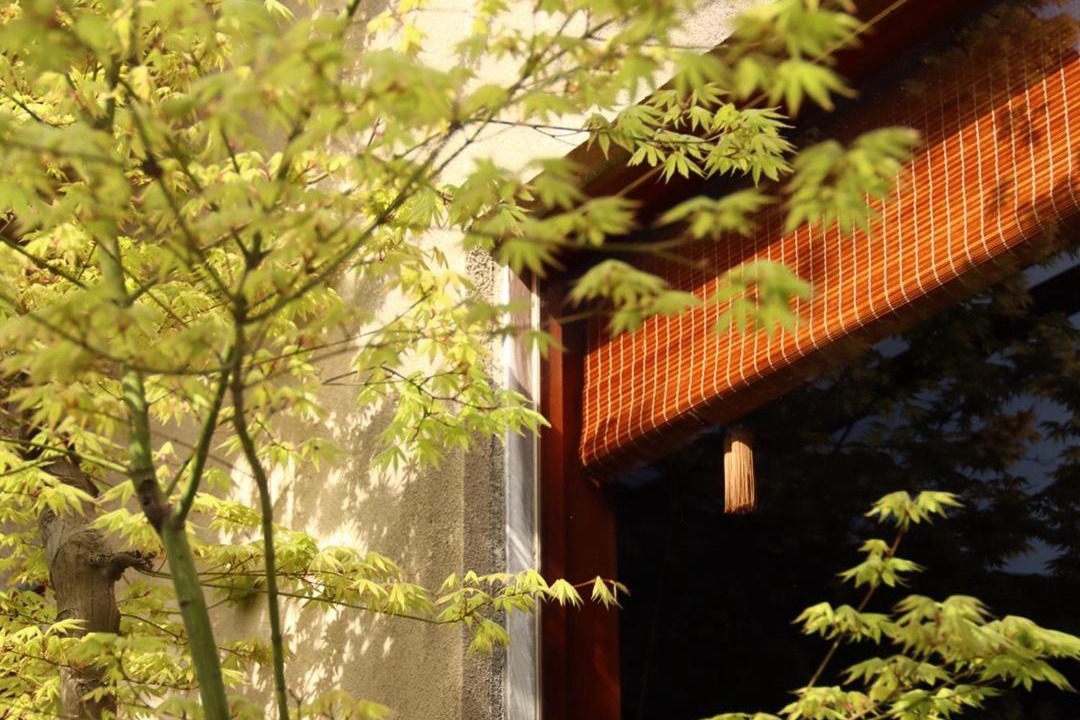 Photo of Others in Kanazawa