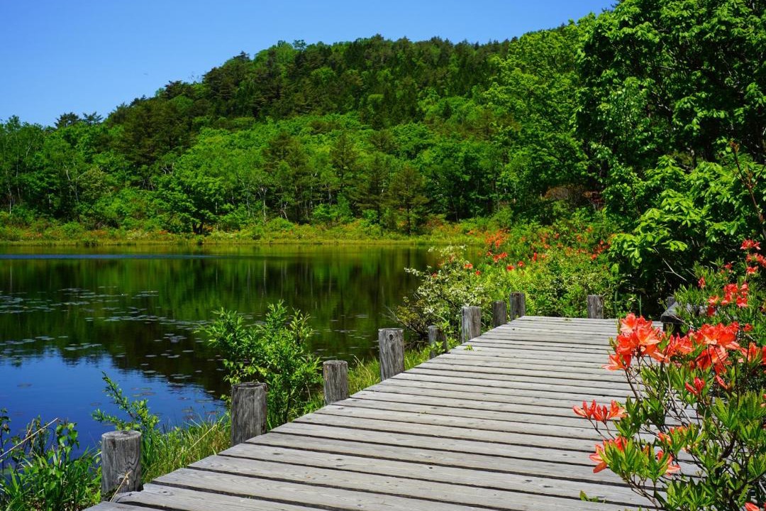 Photo of Others in Shiga Highlands