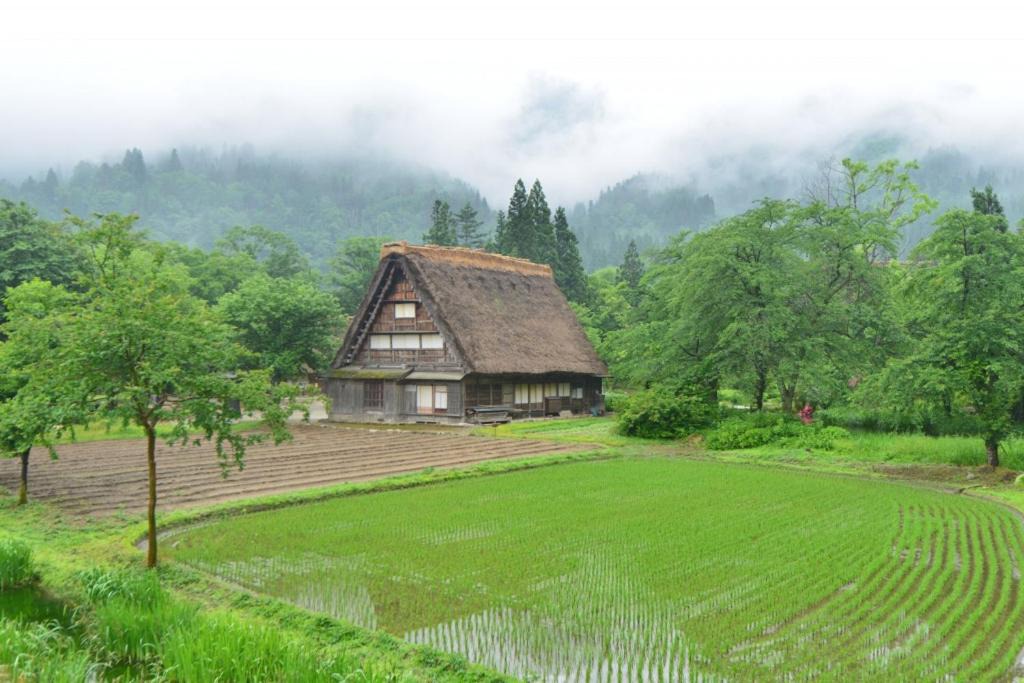 Photo of Others in Shirakawa