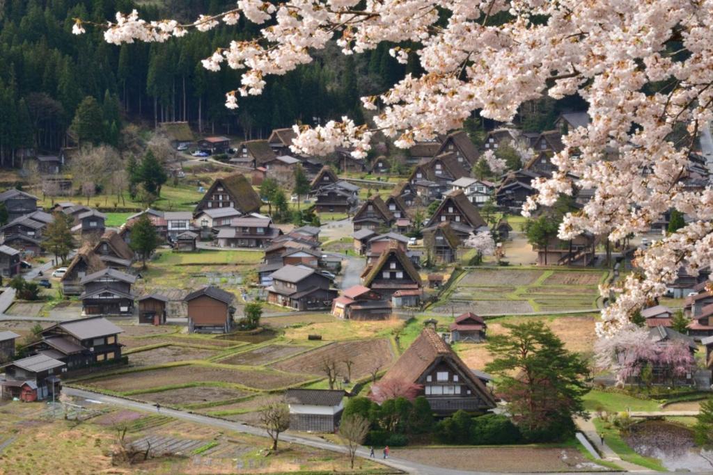 Photo of Others in Shirakawa