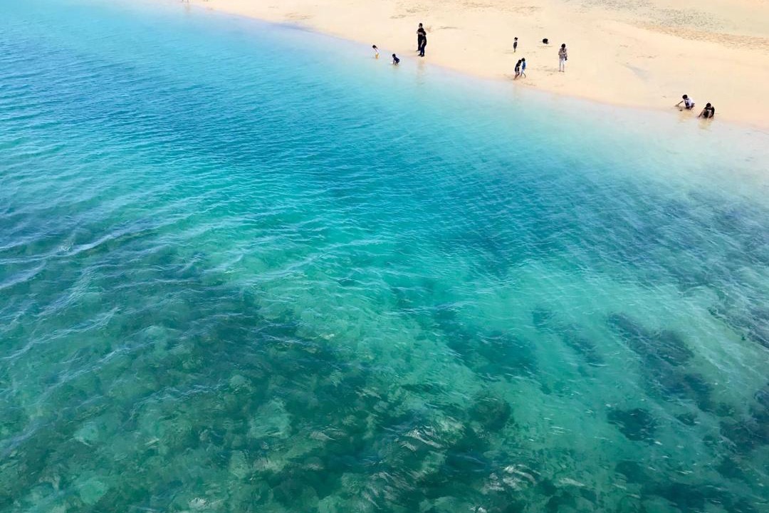 Photo of Others in Ojima Island