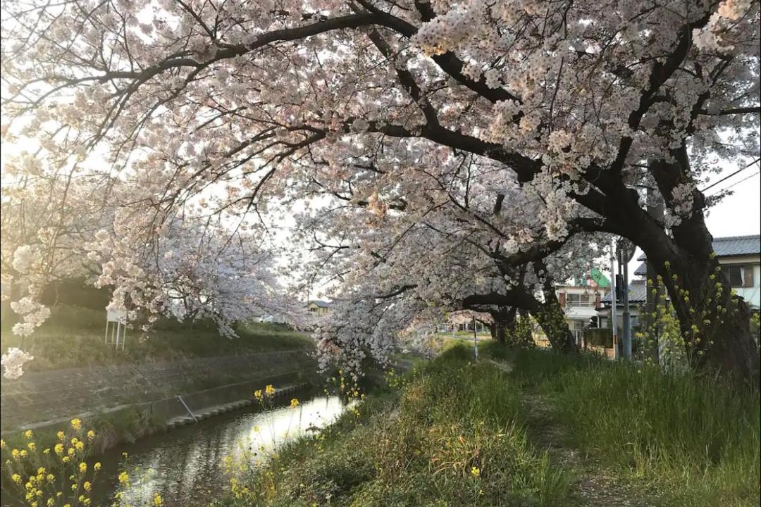 Photo of Others in Taketoyo