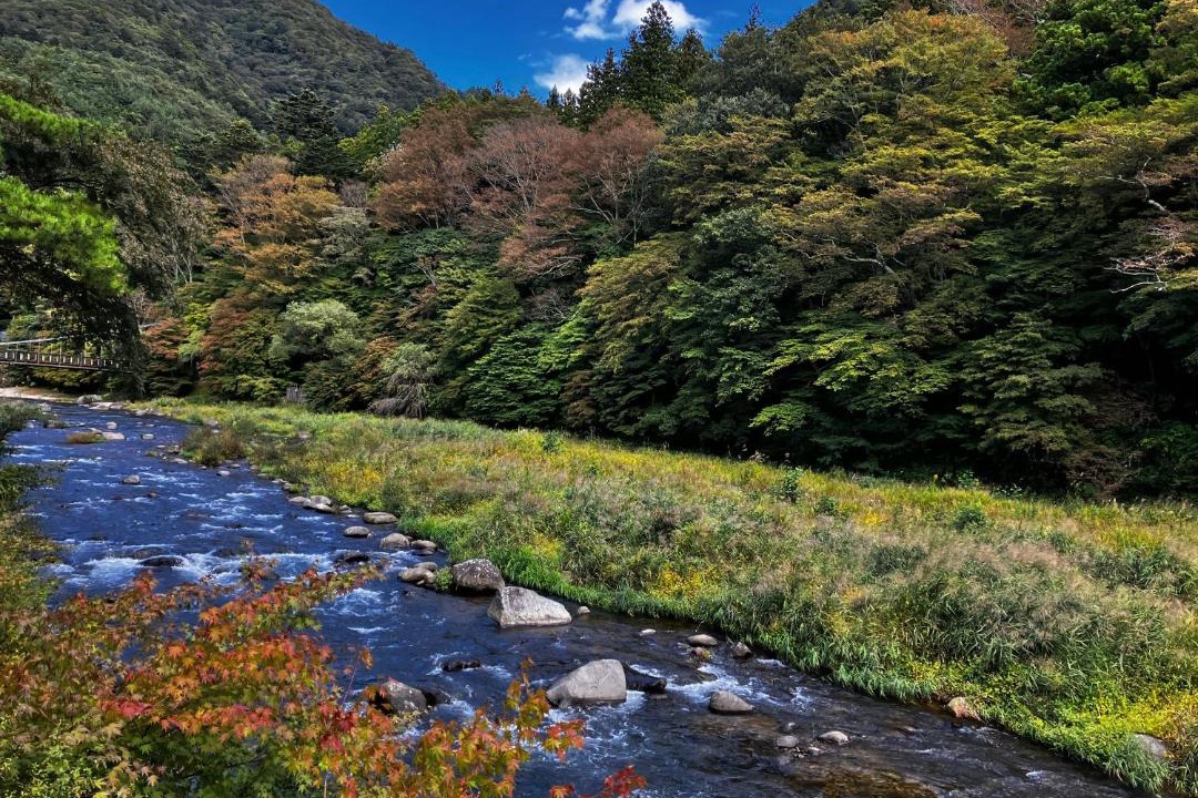 Photo of Others in Shiobara-machi