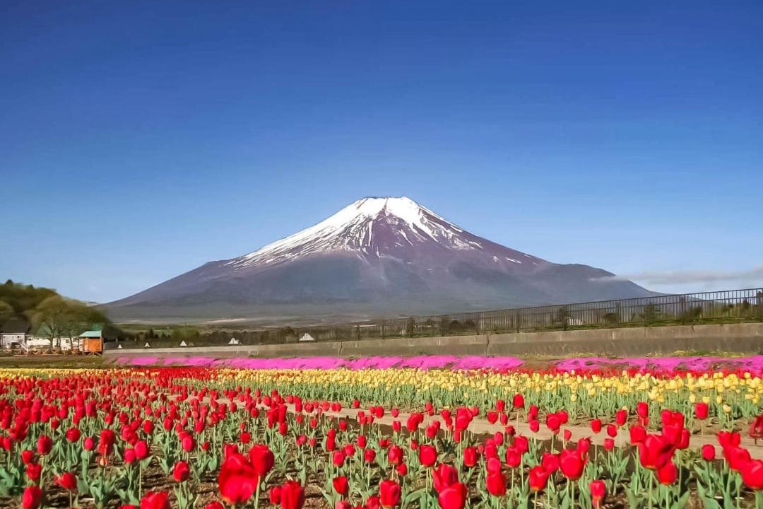 Photo of Others in Yamanakako