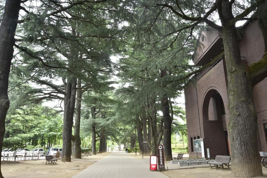 Photo of Others in Matsumoto