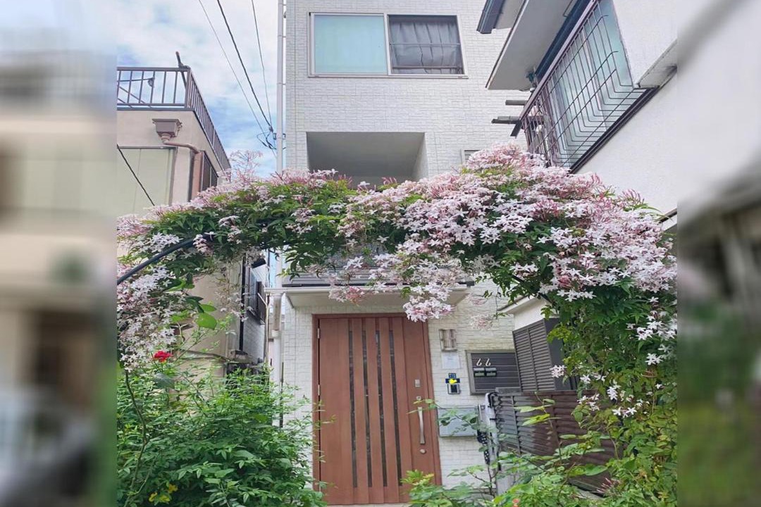 Photo of Others in Shinkoiwa