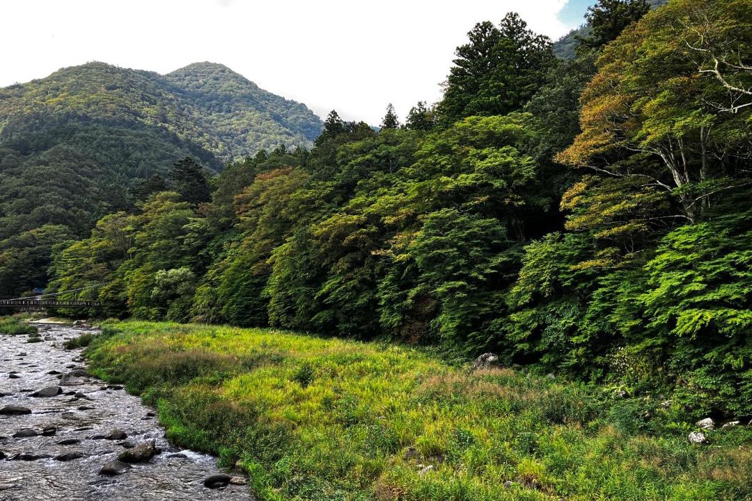 Photo of Others in Shiobara-machi