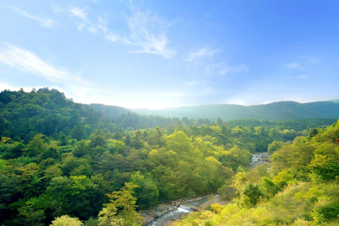 Photo of Others in Nikko