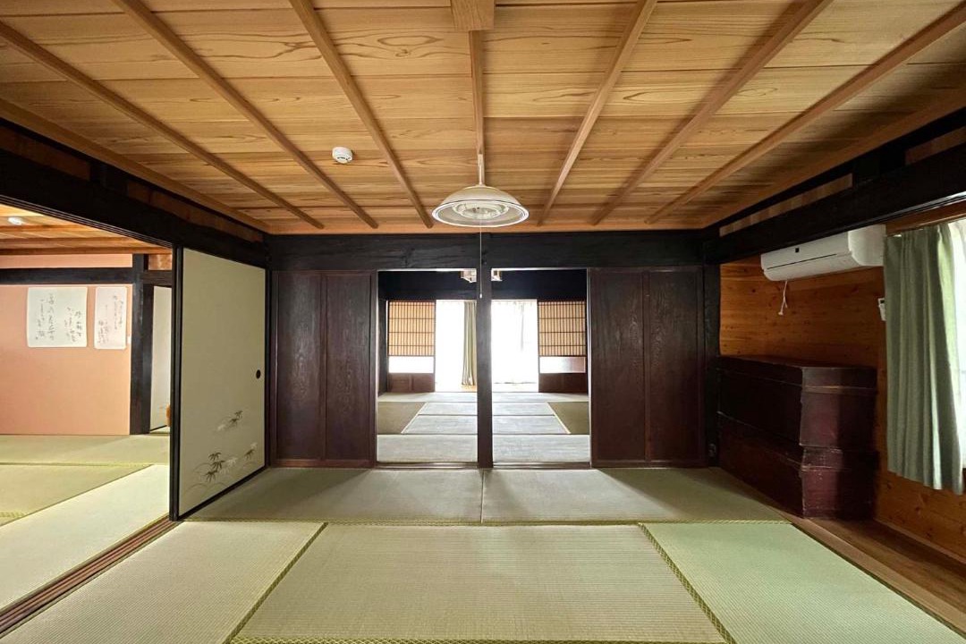 Photo of Others in Yakushima