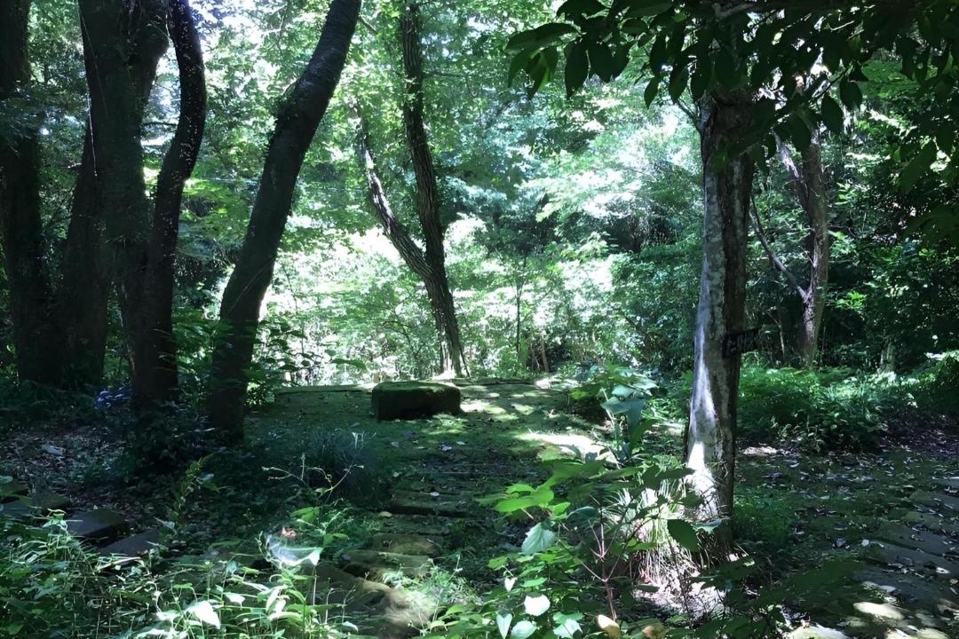 Photo of Others in Minamiizu