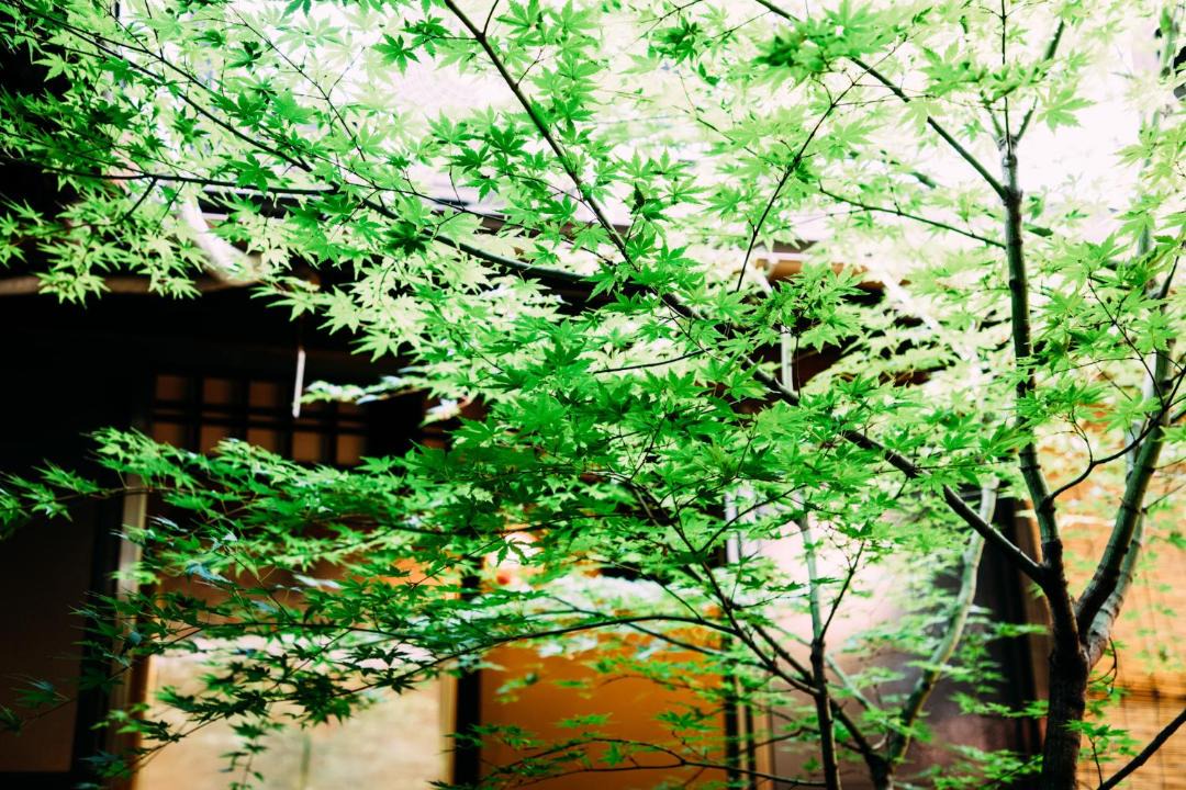 Photo of Others in Okazaki