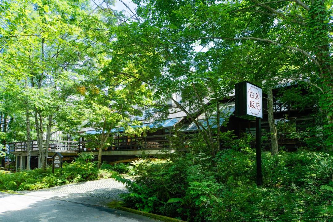 Photo of Others in Hakuba