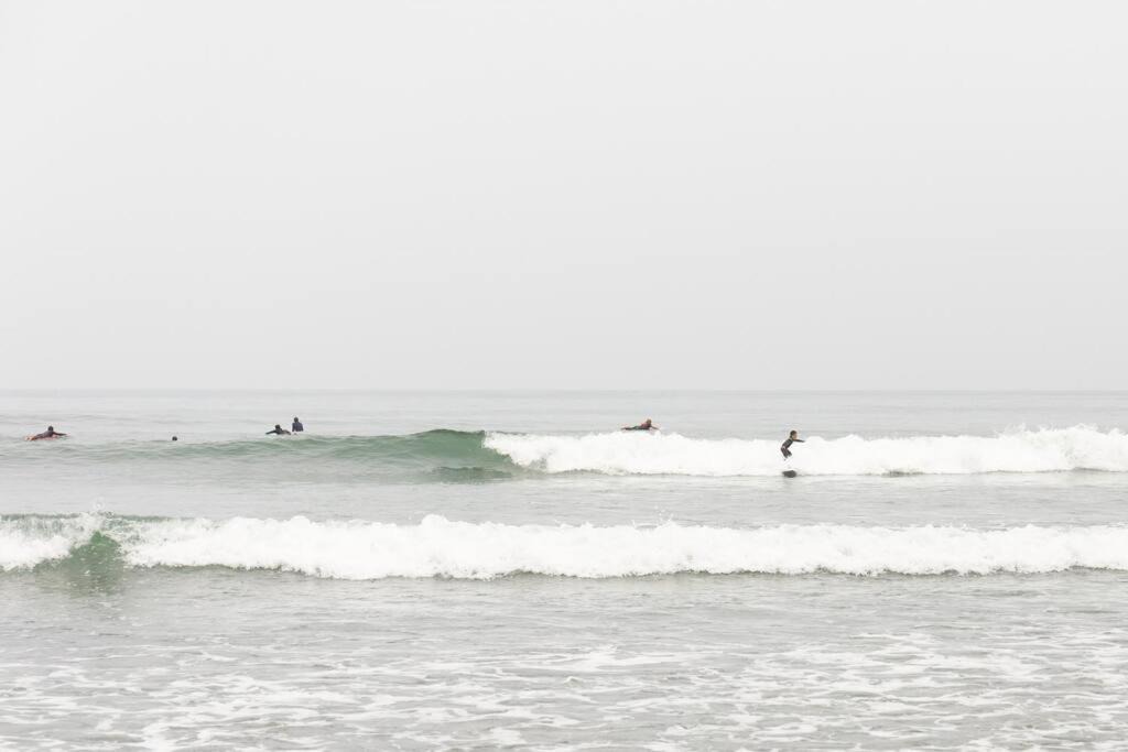 Photo of Others in Ichinomiya