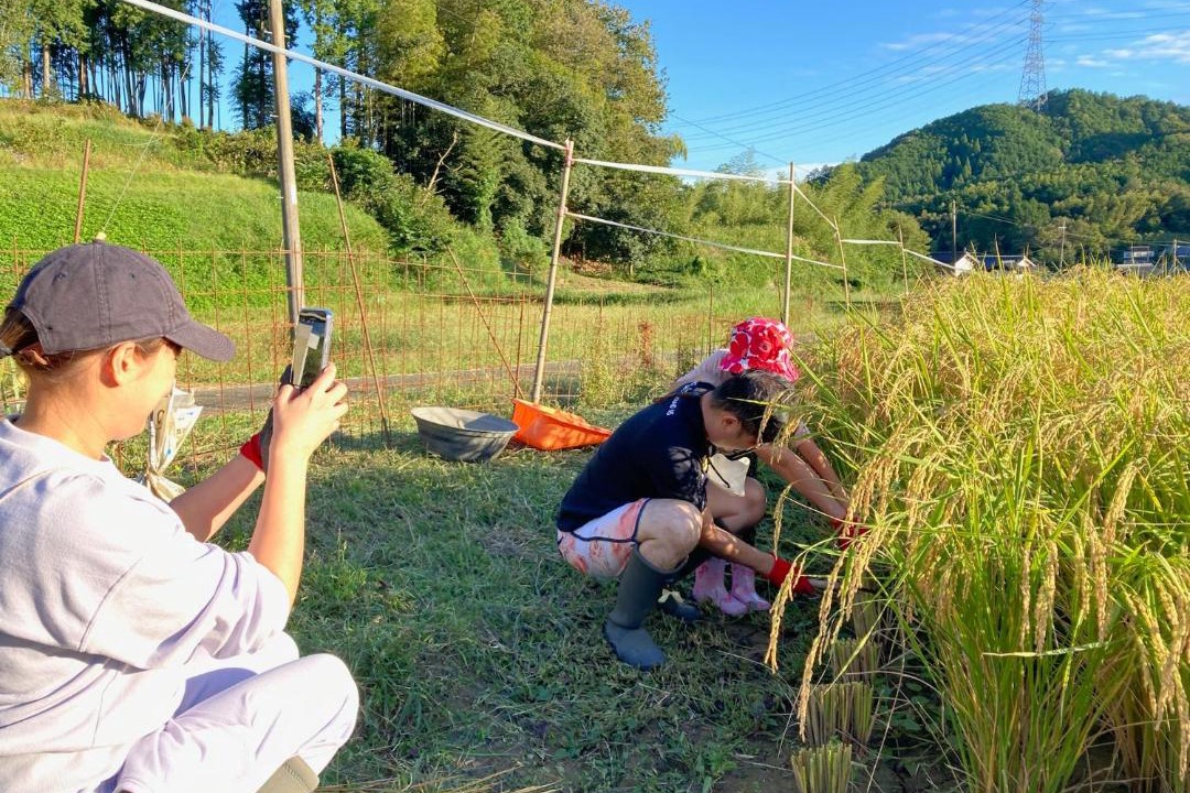 Photo of Others in Ayabe