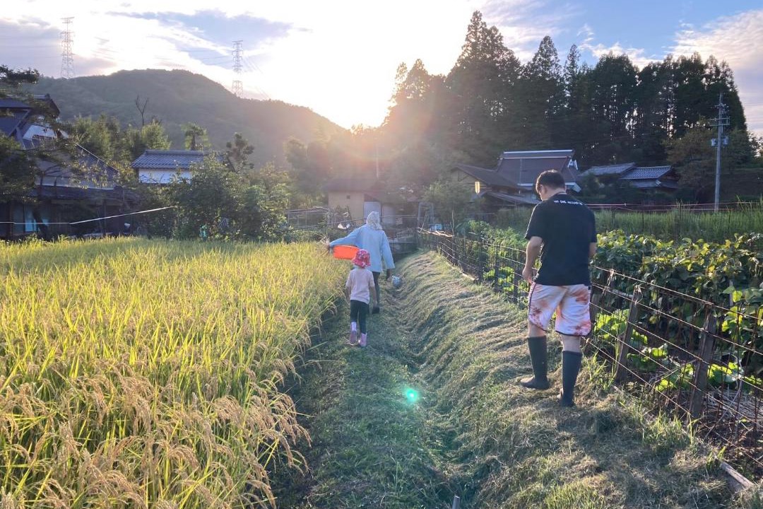 Photo of Outdoor in Ayabe