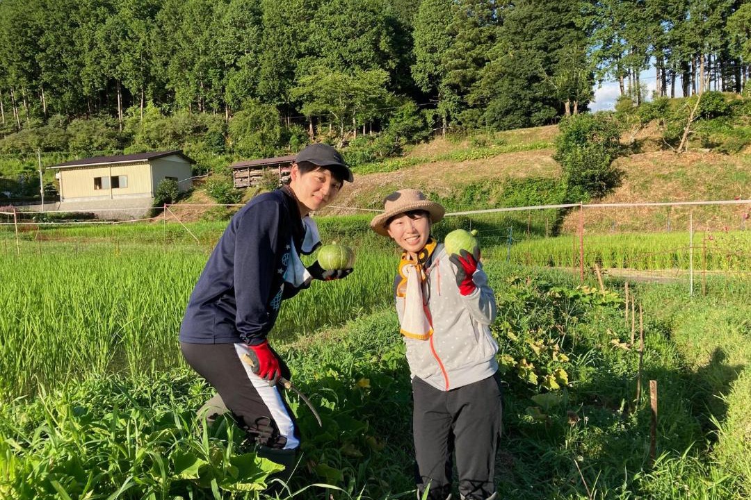 Photo of Human In Picture in Ayabe