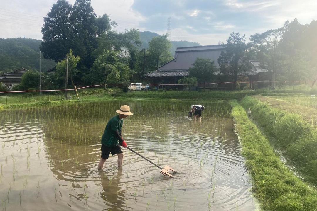 Photo of Others in Ayabe