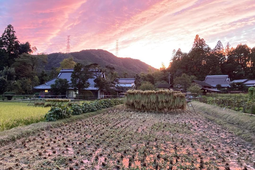 Photo of Others in Ayabe