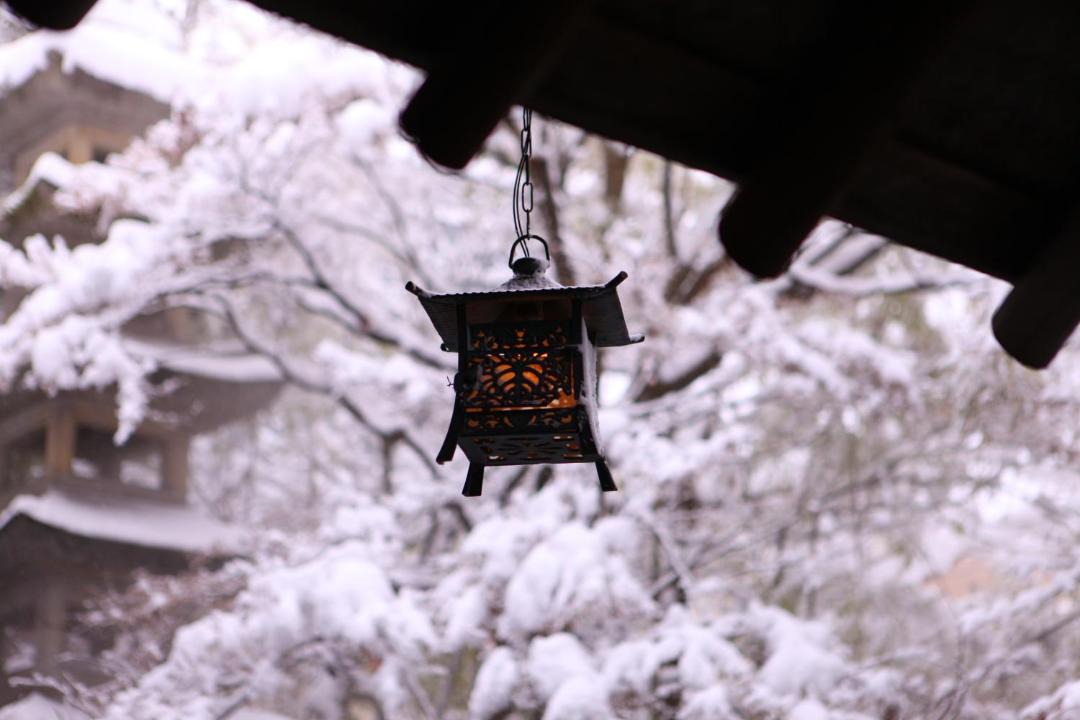 Photo of Others in Yudanaka Shibu Onsen
