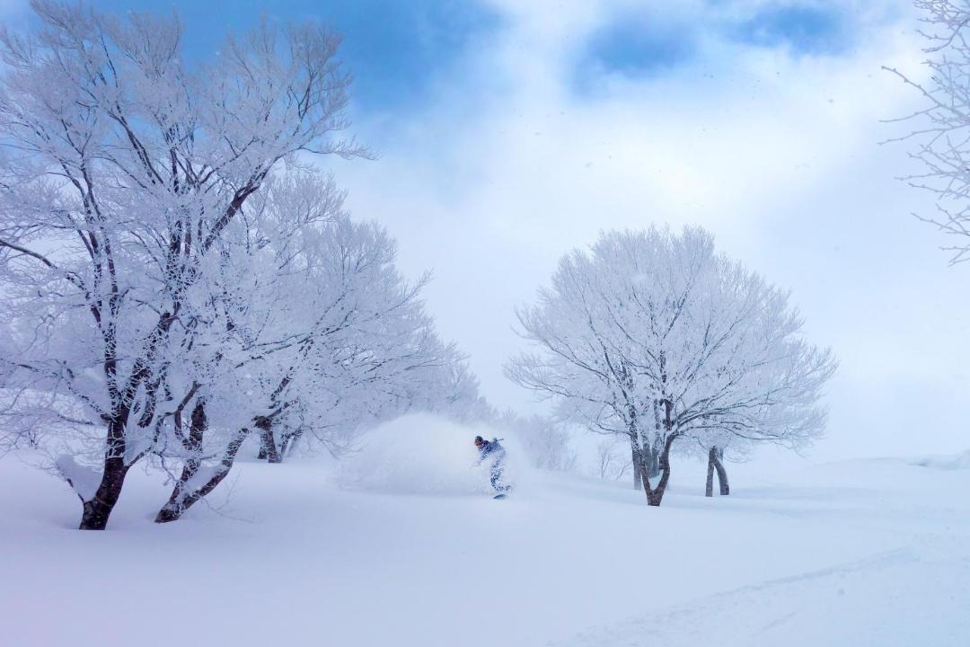 Photo of Others in Ajigasawa
