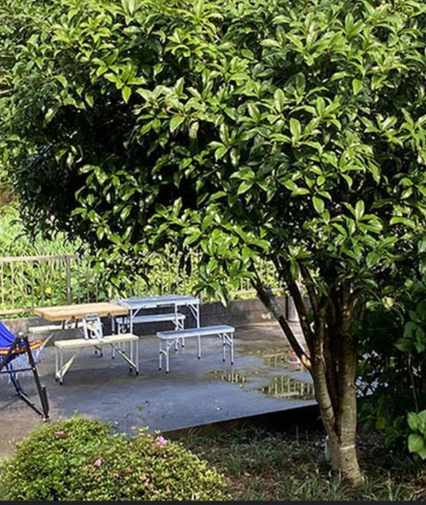 Photo of Outdoor in Futami