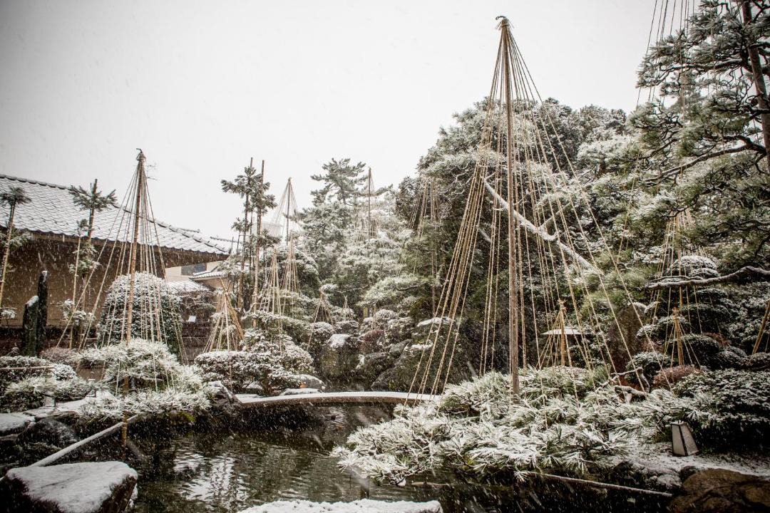 Photo of Others in Onsen