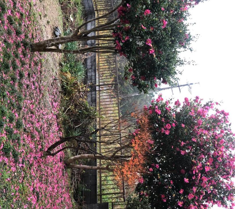 Photo of Outdoor in Futami