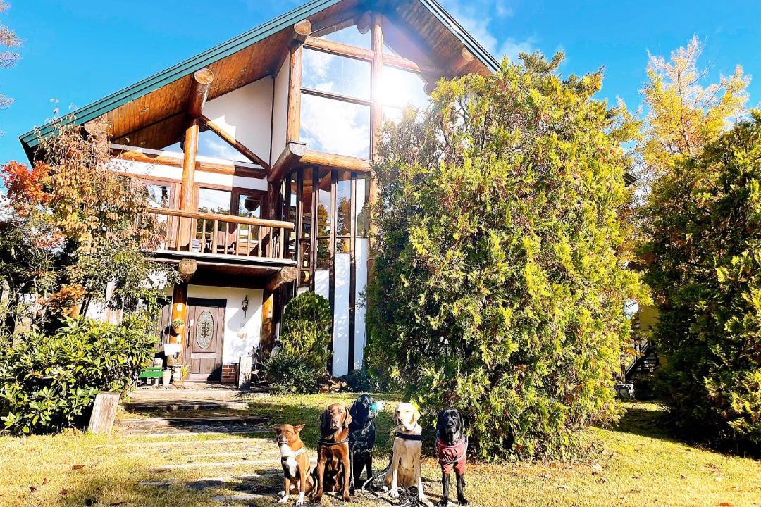 Photo of Buildings in Hakuba
