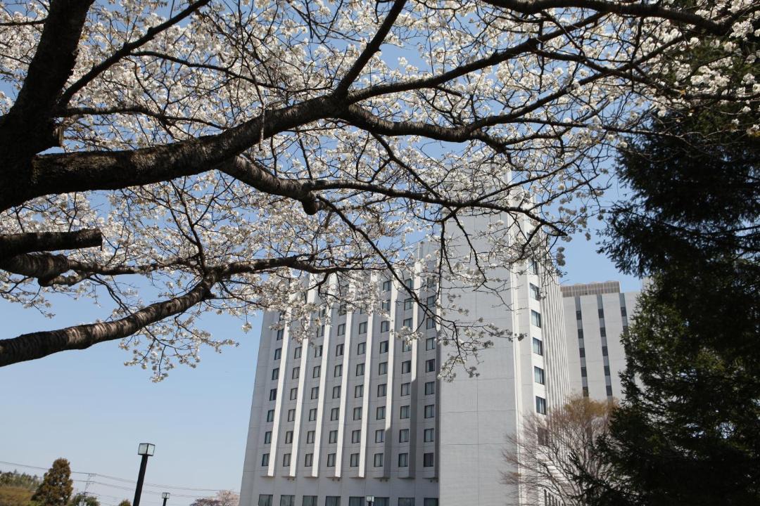 Photo of Others in Tomisato
