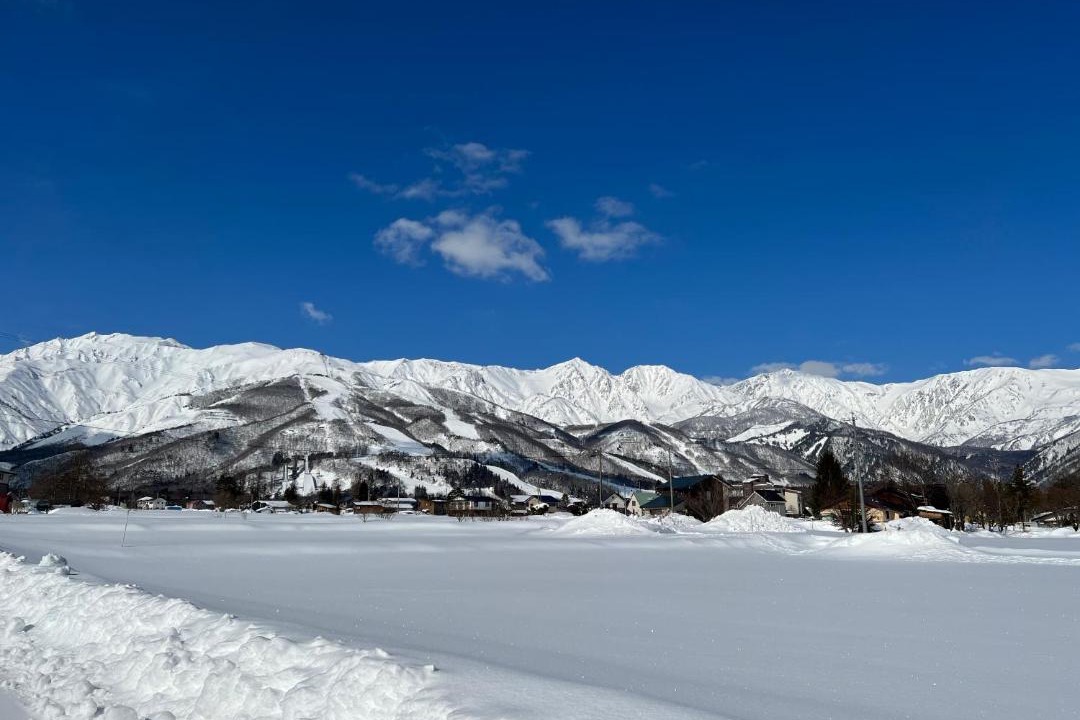 Photo of Others in Hakuba