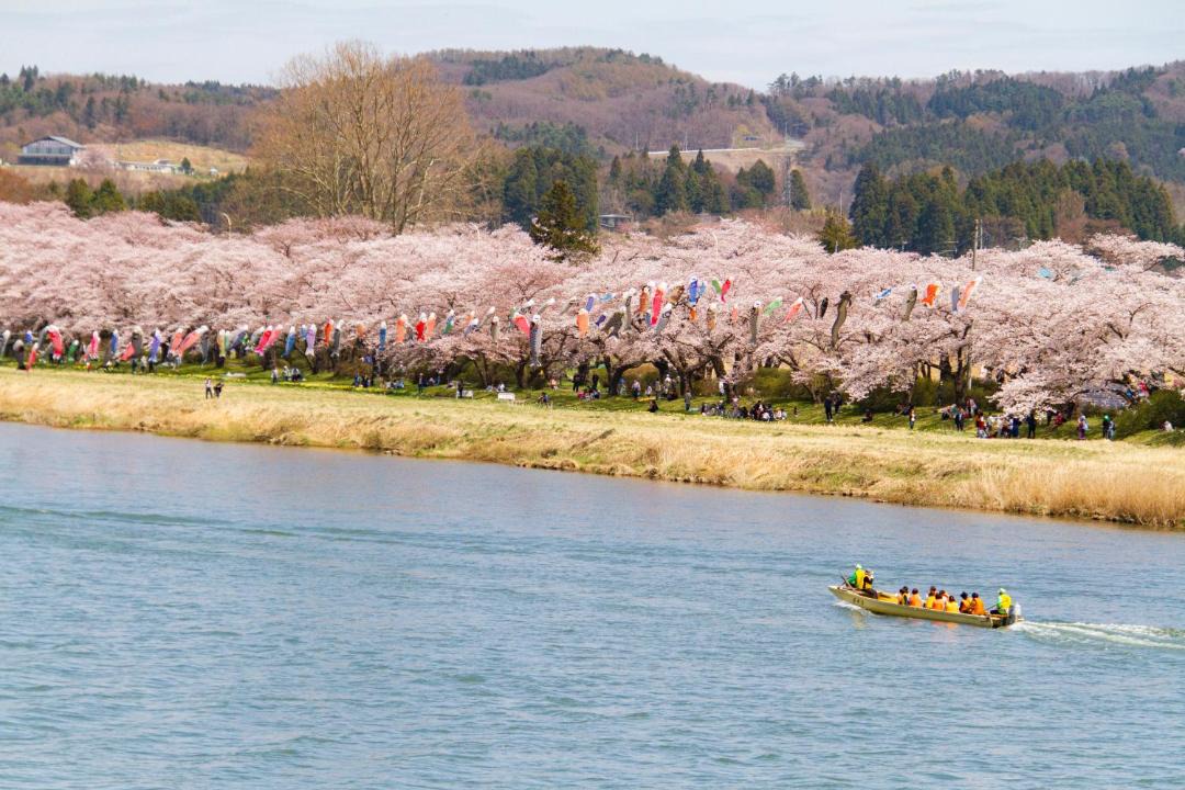 Photo of Others in Kitakami