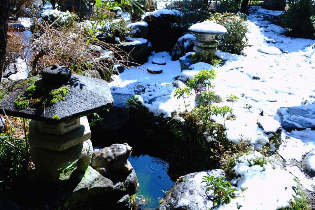 Photo of Others in Nakatsugawa