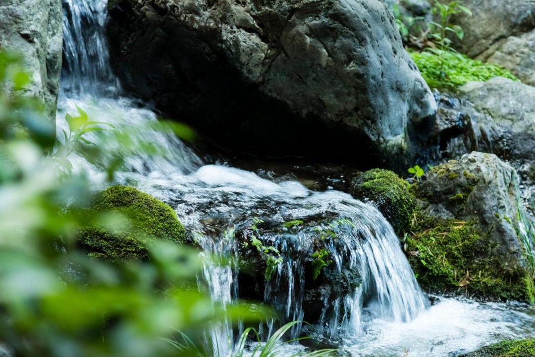 Photo of Others in Isawa Onsen