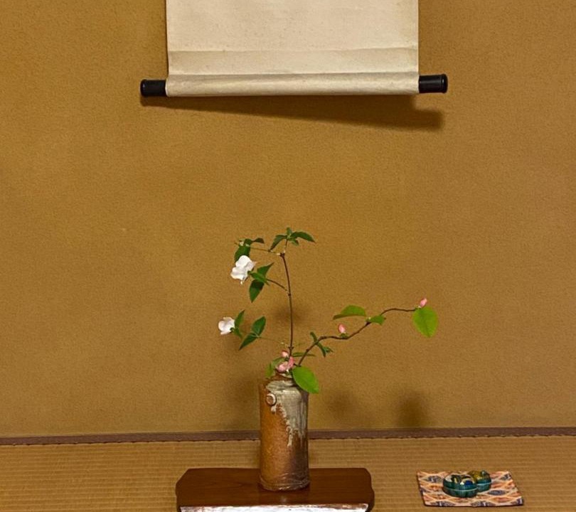 Photo of Others in Nishio