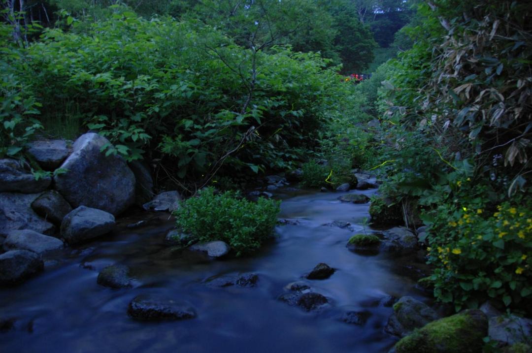 Photo of Others in Shiga Highlands