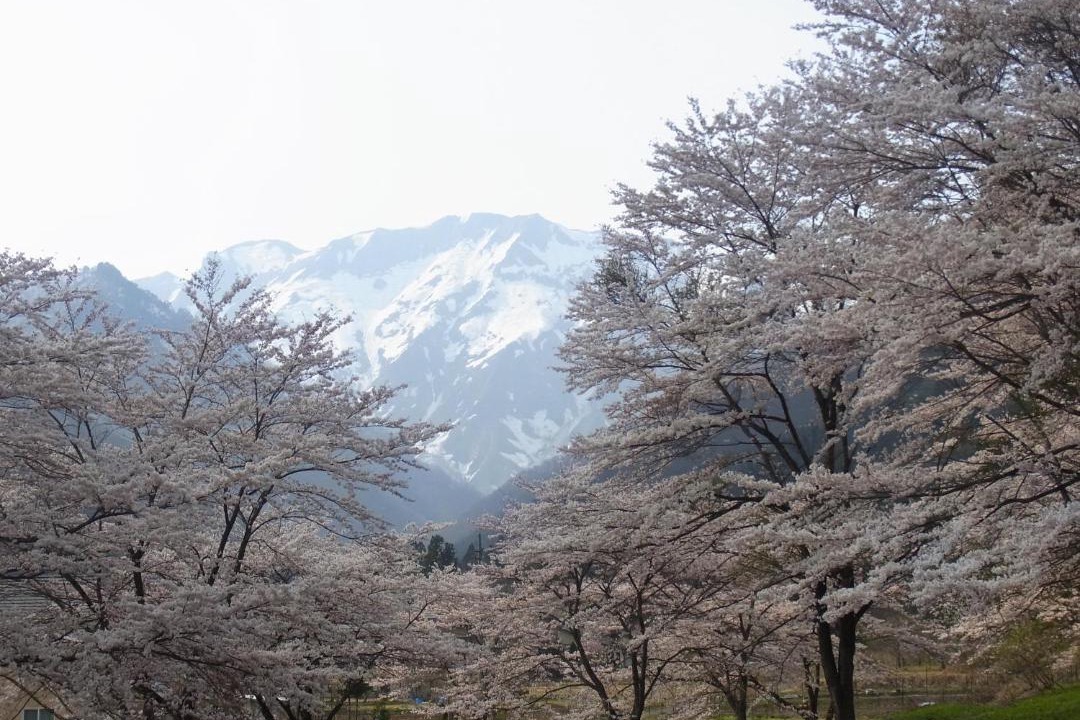 Photo of Others in Minakami